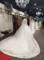 Sherazade Princess Wedding Dress – Long Sleeve – Lace & Beaded – Size 38